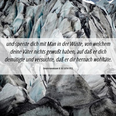 Picture 06 - Deuteronomium 8:16 LUTH1912 - und speiste dich mit Man in der Wüste, von - Bible Verse Picture