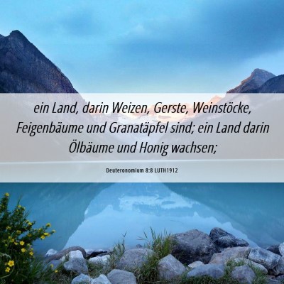 Picture 06 - Deuteronomium 8:8 LUTH1912 - ein Land, darin Weizen, Gerste, Weinstöcke, - Bible Verse Picture