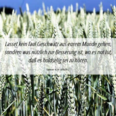 Picture 06 - Epheser 4:29 LUTH1912 - Lasset kein faul Geschwätz aus eurem Munde - Bible Verse Picture