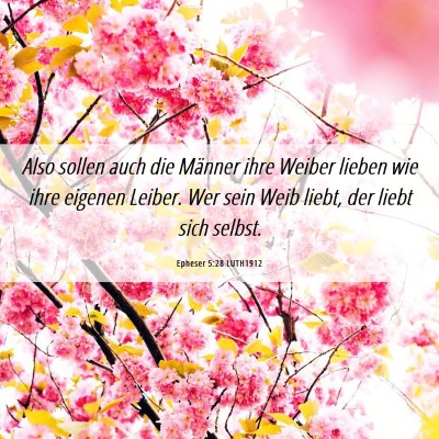 Picture 06 - Epheser 5:28 LUTH1912 - Also sollen auch die Männer ihre Weiber lieben - Bible Verse Picture