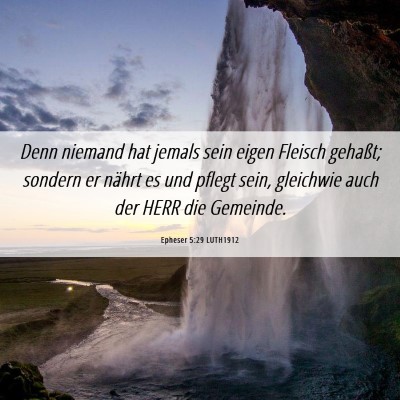 Picture 06 - Epheser 5:29 LUTH1912 - Denn niemand hat jemals sein eigen Fleisch - Bible Verse Picture
