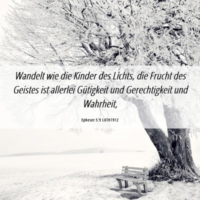 Picture 06 - Epheser 5:9 LUTH1912 - Wandelt wie die Kinder des Lichts, die Frucht des - Bible Verse Picture