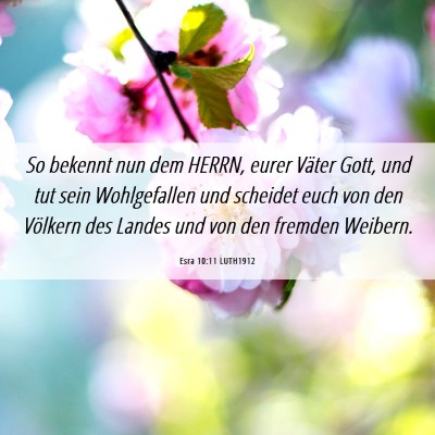 Picture 06 - Esra 10:11 LUTH1912 - So bekennt nun dem HERRN, eurer Väter Gott, und - Bible Verse Picture