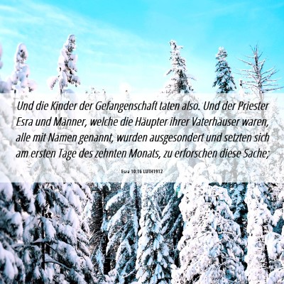 Picture 06 - Esra 10:16 LUTH1912 - Und die Kinder der Gefangenschaft taten also. Und - Bible Verse Picture