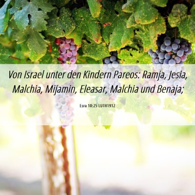 Picture 06 - Esra 10:25 LUTH1912 - Von Israel unter den Kindern Pareos: Ramja, - Bible Verse Picture