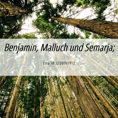 Picture 06 - Esra 10:32 LUTH1912 - Benjamin, Malluch und - Bible Verse Picture