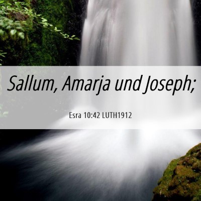 Picture 06 - Esra 10:42 LUTH1912 - Sallum, Amarja und - Bible Verse Picture