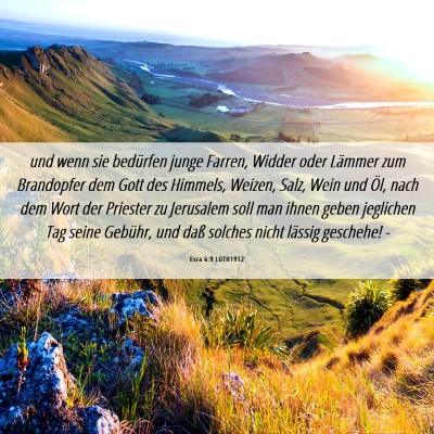 Picture 06 - Esra 6:9 LUTH1912 - und wenn sie bedürfen junge Farren, Widder oder - Bible Verse Picture