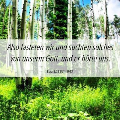 Picture 06 - Esra 8:23 LUTH1912 - Also fasteten wir und suchten solches von unserm - Bible Verse Picture