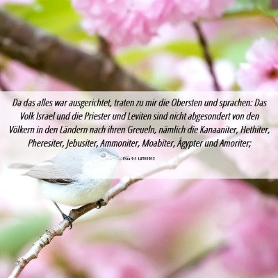 Picture 06 - Esra 9:1 LUTH1912 - Da das alles war ausgerichtet, traten zu mir die - Bible Verse Picture