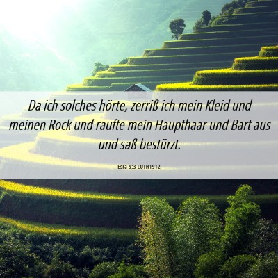 Picture 06 - Esra 9:3 LUTH1912 - Da ich solches hörte, zerriß ich mein Kleid und - Bible Verse Picture