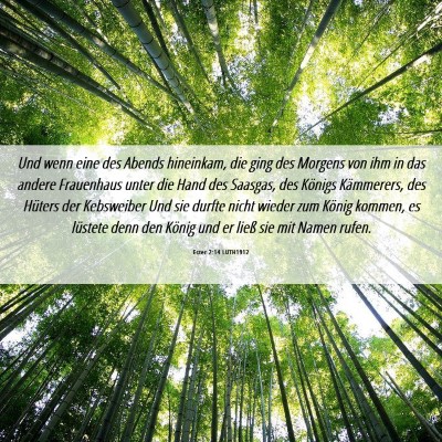 Picture 06 - Ester 2:14 LUTH1912 - Und wenn eine des Abends hineinkam, die ging des - Bible Verse Picture