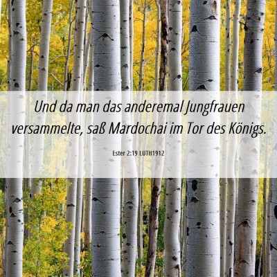 Picture 06 - Ester 2:19 LUTH1912 - Und da man das anderemal Jungfrauen versammelte, - Bible Verse Picture