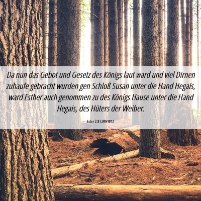 Picture 06 - Ester 2:8 LUTH1912 - Da nun das Gebot und Gesetz des Königs laut ward - Bible Verse Picture