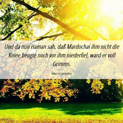 Picture 06 - Ester 3:5 LUTH1912 - Und da nun Haman sah, daß Mardochai ihm nicht - Bible Verse Picture