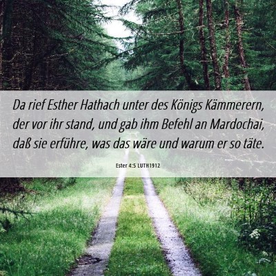 Picture 06 - Ester 4:5 LUTH1912 - Da rief Esther Hathach unter des Königs - Bible Verse Picture