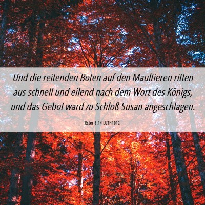 Picture 06 - Ester 8:14 LUTH1912 - Und die reitenden Boten auf den Maultieren ritten - Bible Verse Picture