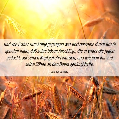 Picture 06 - Ester 9:25 LUTH1912 - und wie Esther zum König gegangen war und - Bible Verse Picture