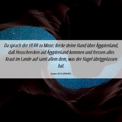 Picture 06 - Exodus 10:12 LUTH1912 - Da sprach der HERR zu Mose: Recke deine Hand - Bible Verse Picture