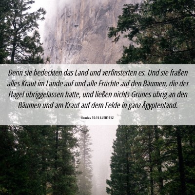Picture 06 - Exodus 10:15 LUTH1912 - Denn sie bedeckten das Land und verfinsterten es. - Bible Verse Picture