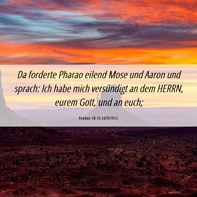 Picture 06 - Exodus 10:16 LUTH1912 - Da forderte Pharao eilend Mose und Aaron und - Bible Verse Picture