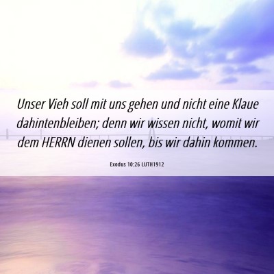 Picture 06 - Exodus 10:26 LUTH1912 - Unser Vieh soll mit uns gehen und nicht eine - Bible Verse Picture