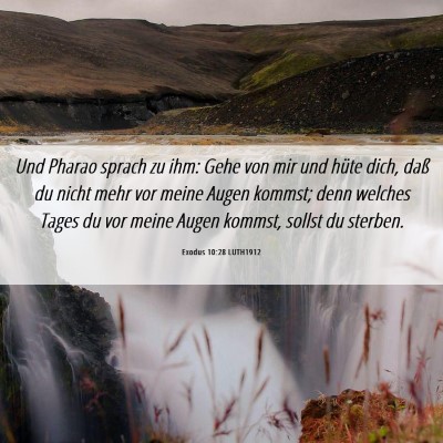 Picture 06 - Exodus 10:28 LUTH1912 - Und Pharao sprach zu ihm: Gehe von mir und hüte - Bible Verse Picture