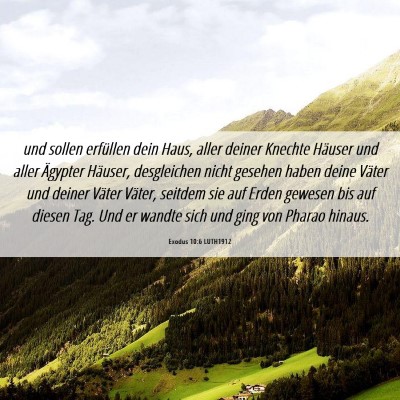 Picture 06 - Exodus 10:6 LUTH1912 - und sollen erfüllen dein Haus, aller deiner - Bible Verse Picture