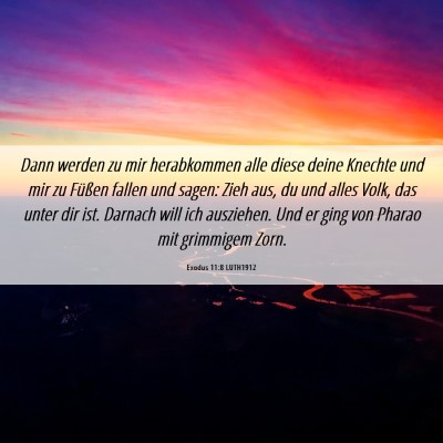 Picture 06 - Exodus 11:8 LUTH1912 - Dann werden zu mir herabkommen alle diese deine - Bible Verse Picture