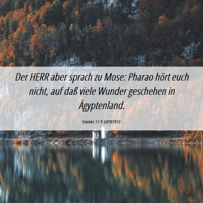 Picture 06 - Exodus 11:9 LUTH1912 - Der HERR aber sprach zu Mose: Pharao hört euch - Bible Verse Picture