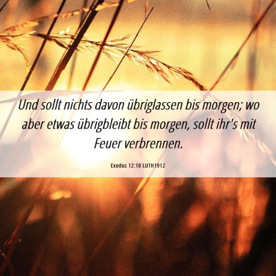 Picture 06 - Exodus 12:10 LUTH1912 - Und sollt nichts davon übriglassen bis morgen; - Bible Verse Picture