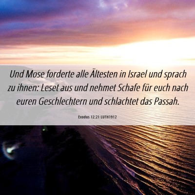 Picture 06 - Exodus 12:21 LUTH1912 - Und Mose forderte alle Ältesten in Israel und - Bible Verse Picture