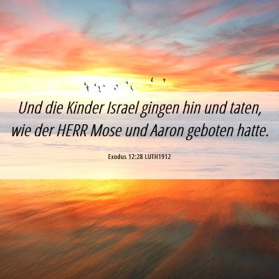 Picture 06 - Exodus 12:28 LUTH1912 - Und die Kinder Israel gingen hin und taten, wie - Bible Verse Picture