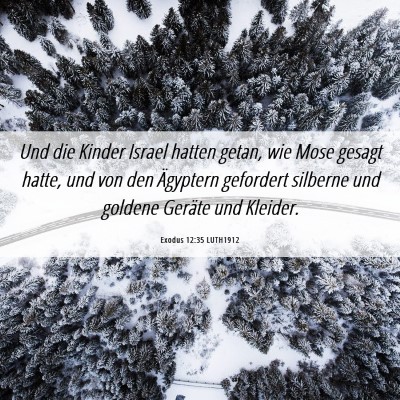 Picture 06 - Exodus 12:35 LUTH1912 - Und die Kinder Israel hatten getan, wie Mose - Bible Verse Picture