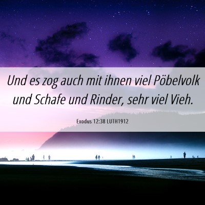 Picture 06 - Exodus 12:38 LUTH1912 - Und es zog auch mit ihnen viel Pöbelvolk und - Bible Verse Picture