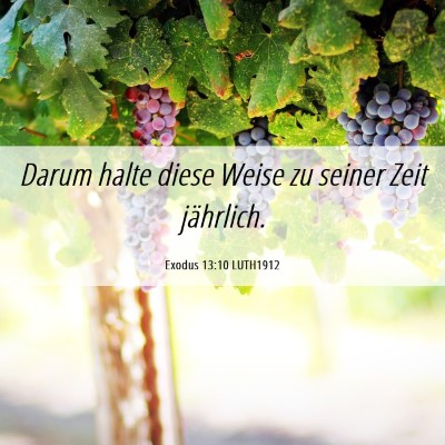 Picture 06 - Exodus 13:10 LUTH1912 - Darum halte diese Weise zu seiner Zeit - Bible Verse Picture