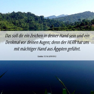 Picture 06 - Exodus 13:16 LUTH1912 - Das soll dir ein Zeichen in deiner Hand sein und - Bible Verse Picture