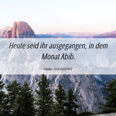 Picture 06 - Exodus 13:4 LUTH1912 - Heute seid ihr ausgegangen, in dem Monat - Bible Verse Picture