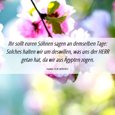 Picture 06 - Exodus 13:8 LUTH1912 - Ihr sollt euren Söhnen sagen an demselben Tage: - Bible Verse Picture