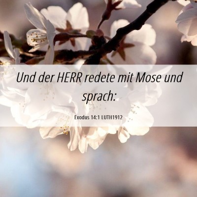 Picture 06 - Exodus 14:1 LUTH1912 - Und der HERR redete mit Mose und - Bible Verse Picture