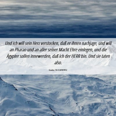 Picture 06 - Exodus 14:4 LUTH1912 - Und ich will sein Herz verstocken, daß er ihnen - Bible Verse Picture