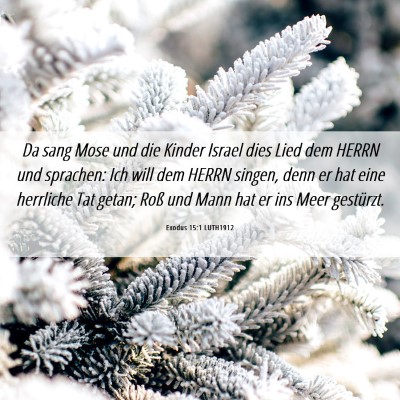 Picture 06 - Exodus 15:1 LUTH1912 - Da sang Mose und die Kinder Israel dies Lied dem - Bible Verse Picture