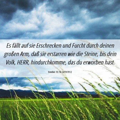 Picture 06 - Exodus 15:16 LUTH1912 - Es fällt auf sie Erschrecken und Furcht durch - Bible Verse Picture