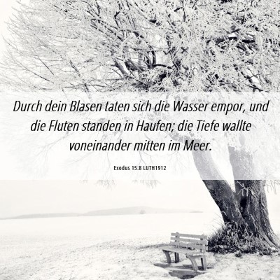 Picture 06 - Exodus 15:8 LUTH1912 - Durch dein Blasen taten sich die Wasser empor, - Bible Verse Picture