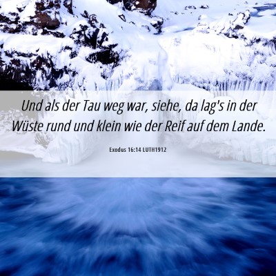 Picture 06 - Exodus 16:14 LUTH1912 - Und als der Tau weg war, siehe, da lag's in der - Bible Verse Picture