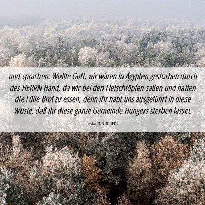 Picture 06 - Exodus 16:3 LUTH1912 - und sprachen: Wollte Gott, wir wären in Ägypten - Bible Verse Picture