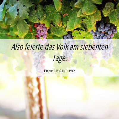 Picture 06 - Exodus 16:30 LUTH1912 - Also feierte das Volk am siebenten - Bible Verse Picture