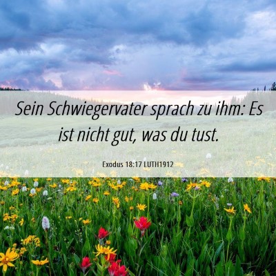 Picture 06 - Exodus 18:17 LUTH1912 - Sein Schwiegervater sprach zu ihm: Es ist nicht - Bible Verse Picture