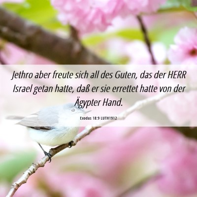 Picture 06 - Exodus 18:9 LUTH1912 - Jethro aber freute sich all des Guten, das der - Bible Verse Picture