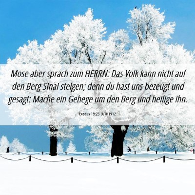 Picture 06 - Exodus 19:23 LUTH1912 - Mose aber sprach zum HERRN: Das Volk kann nicht - Bible Verse Picture
